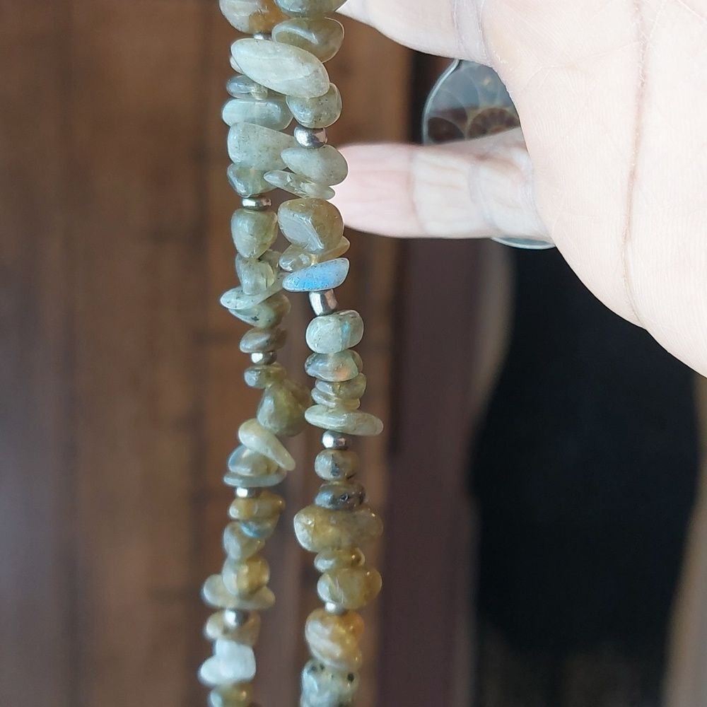 Ammonite Fossil Flashing Labradorite And Ancient … - image 7